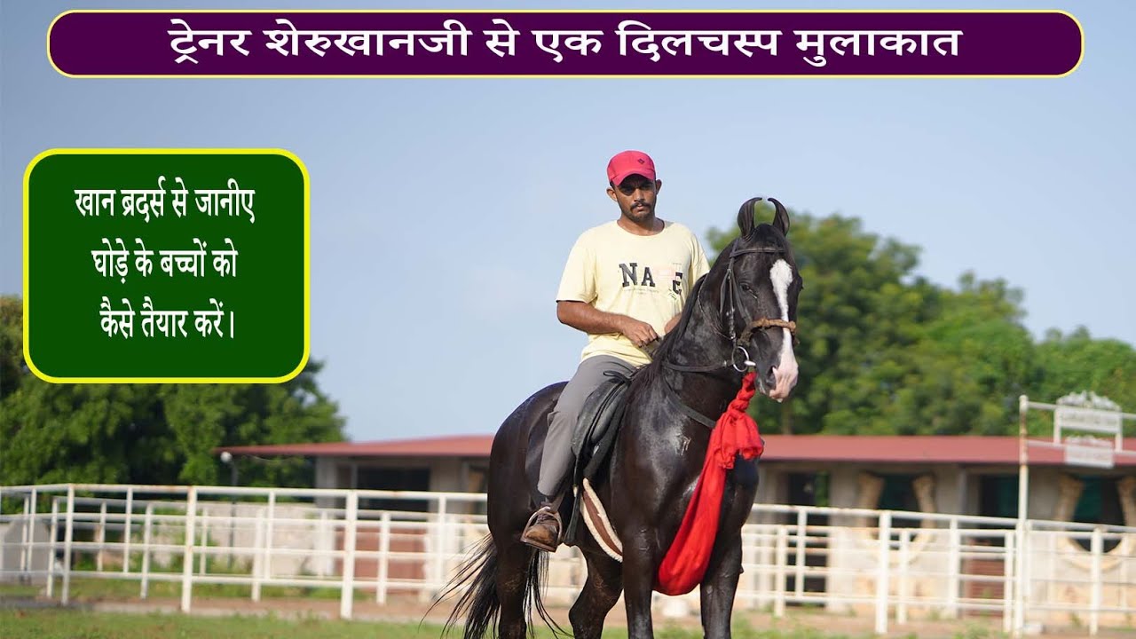 ट्रेनर शेरुखानजी से जानते हैं कि खान ब्रदर्स घोड़े के बच्चों को कैसे तैयार करते हैं ।