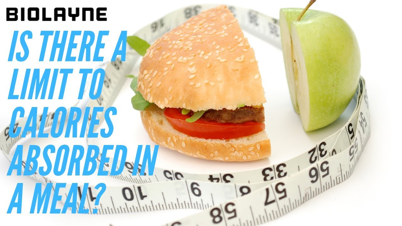 Is There A Limit To Calories Absorbed In A Meal?