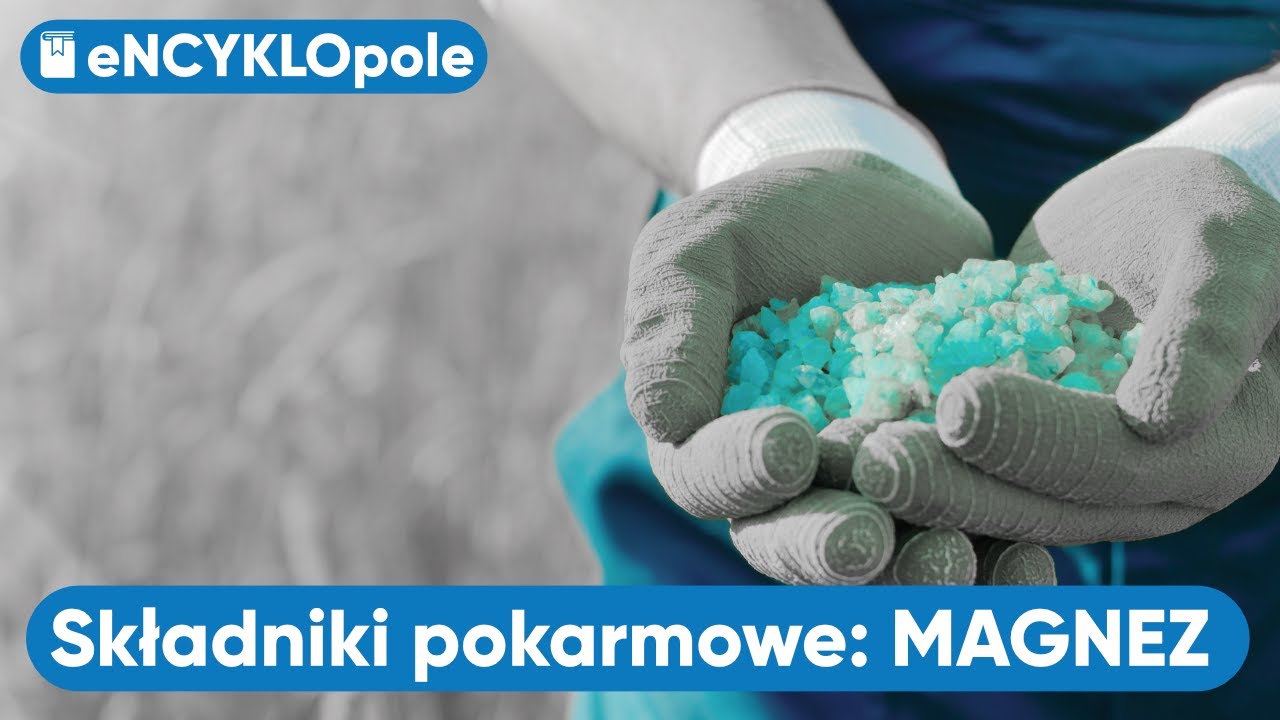 MAGNEZ. Poznajemy składniki pokarmowe