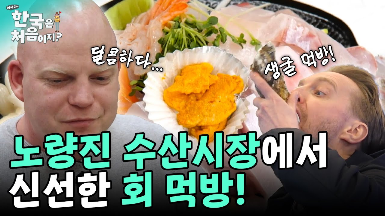 네덜란드 셰프들이 노량진에 떴다! 노량진 수산시장에서 먹는 싱싱한 모듬회의 맛은?! | #어서와한국은처음이지 EP.389