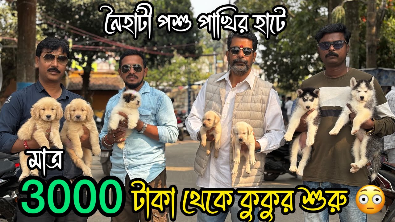 মাত্র 3000 টাকা থেকে কুকুর শুরু 😳🔥| Naihati Pet Market | Dog Market in Kolkata | Naihati Dog Market 