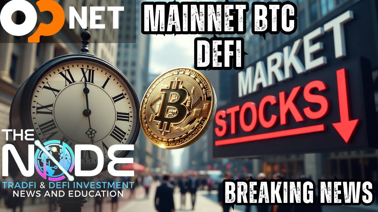 THE NODE: Investment News - Interviews - Education