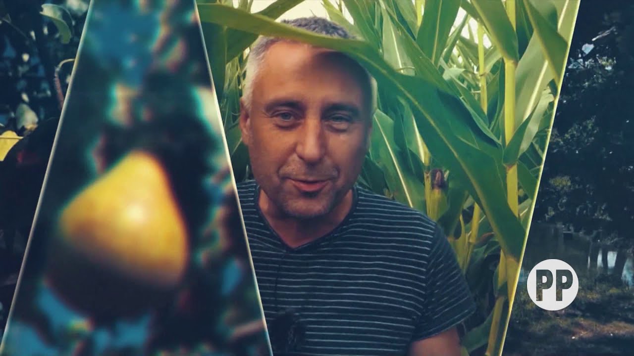 POTRAVINY Z DOMOVINY II/16 - Úsovsko a.s. 2.díl