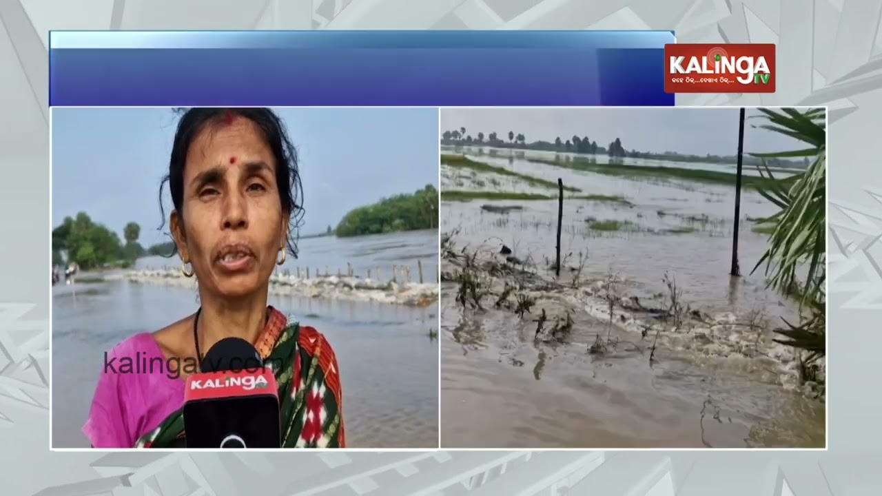 Bhadrak Flood: Baitarani river overflows, roads in Chandbali submerged under 2 feet of floodwater
