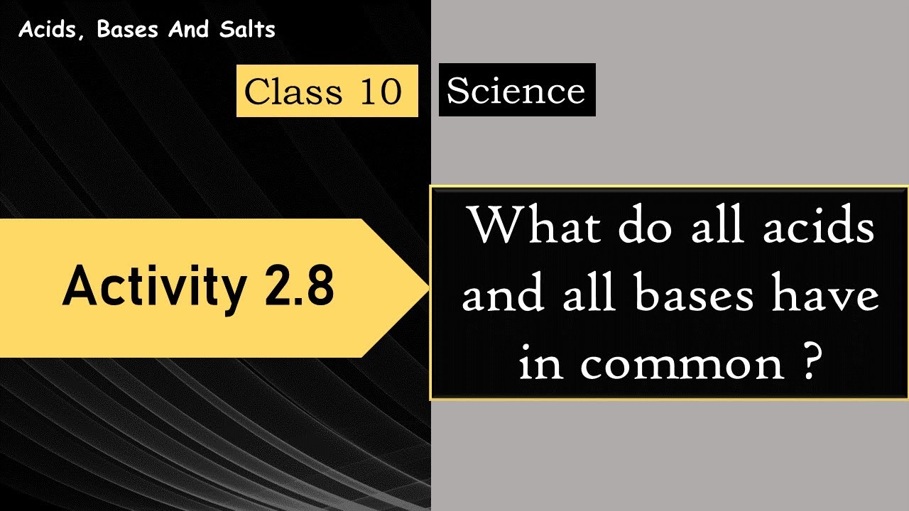 Activity 2.8 | Class 10 | Science