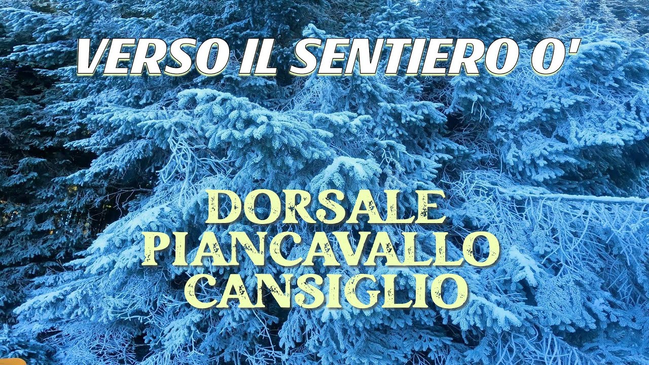 Da Mezzomonte al Cansiglio sulla neve in MTB, obiettivo sentiero O. Parte prima. 4k