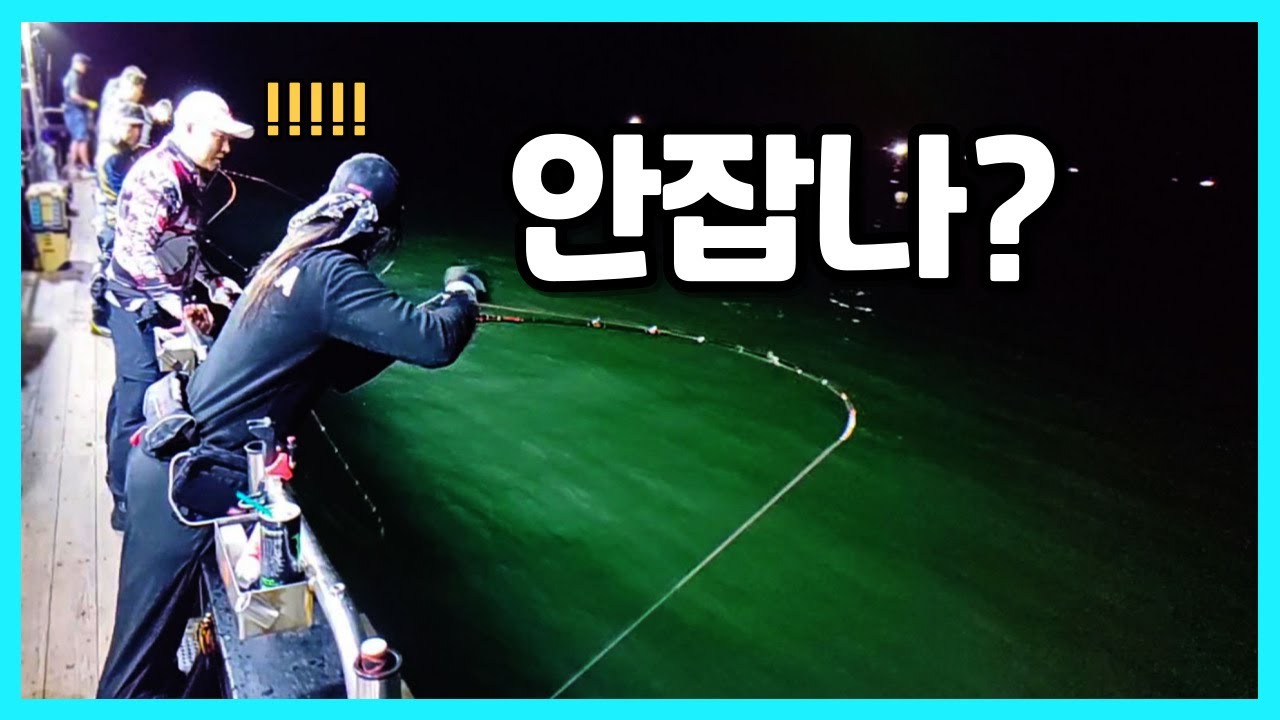 야간 문어낚시 잘 나오는데? 낮은수심 재밌잖아!!