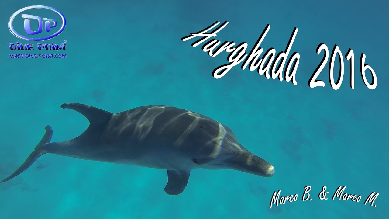 Hurghada 2016 Scuba Diving holidays with 