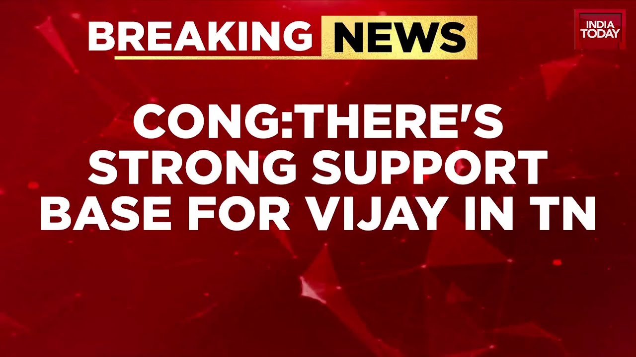 Breaking News: Congress Notes Vijay&rsquo;s Strong Support In Tamil Nadu But Flags TVK&rsquo;s Structural Gaps