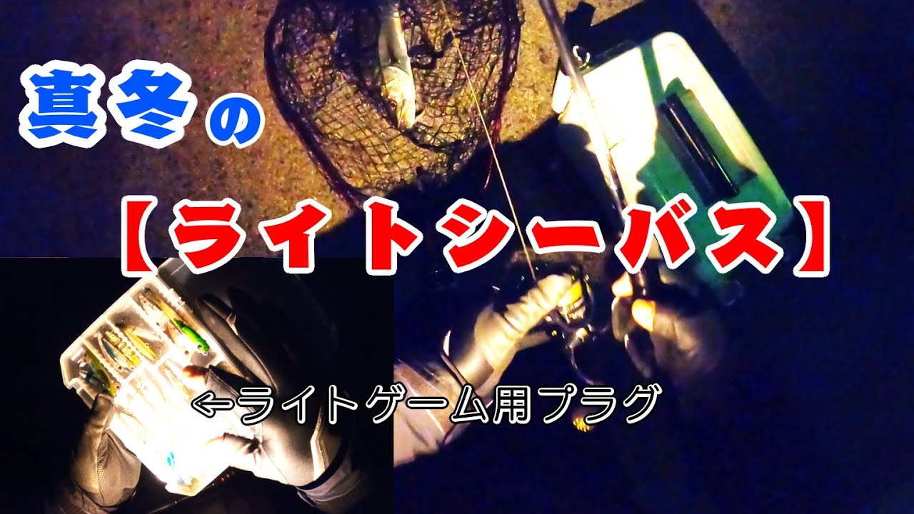 真冬でも手軽に楽しめる！【ライトシーバス】