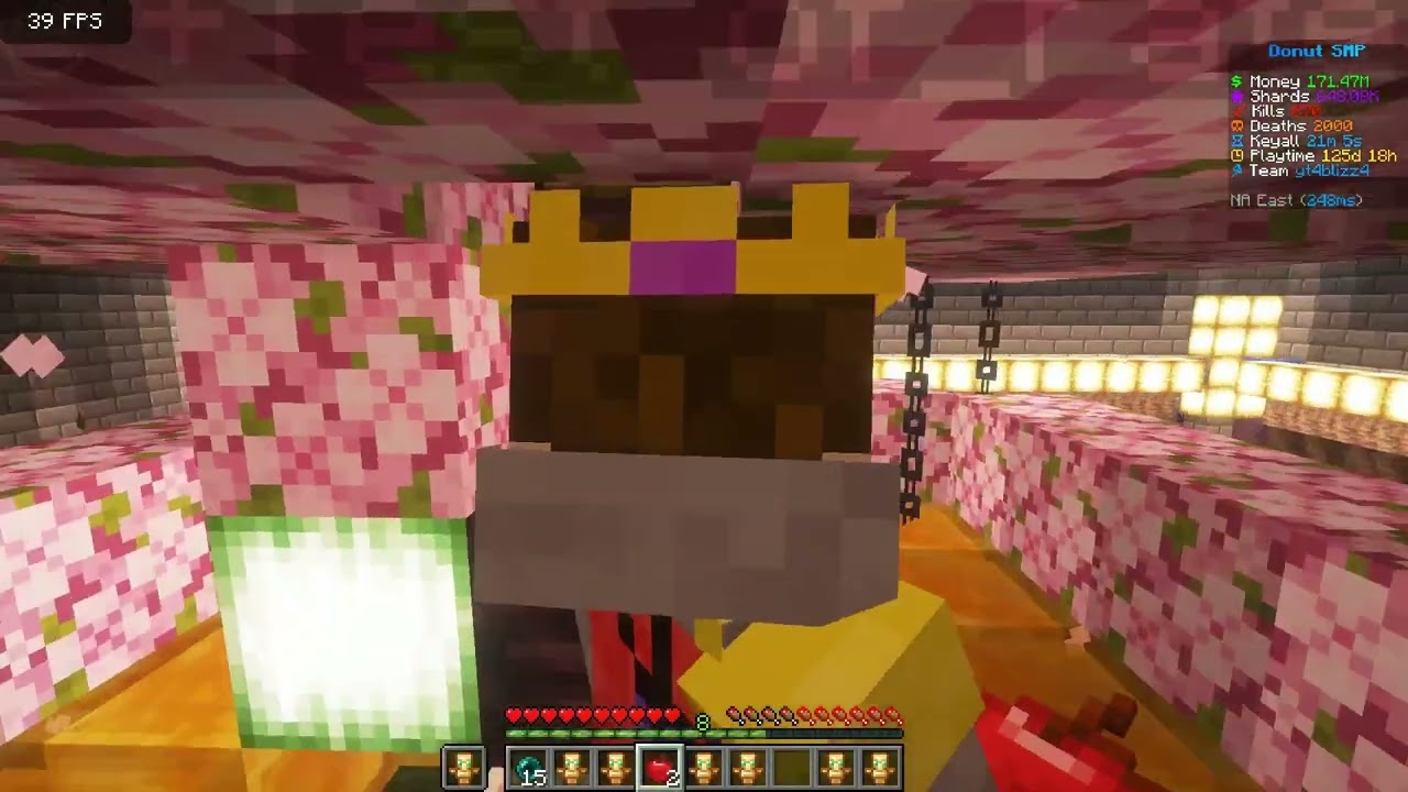 Donut smp A little memory of the past