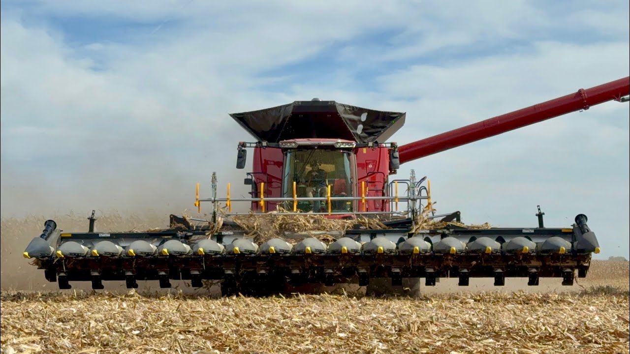 Демонстрация комбайна Case IH AF10 2025 года | В поле с дилером CaseIH 5-го поколения Михаэлем Шм...