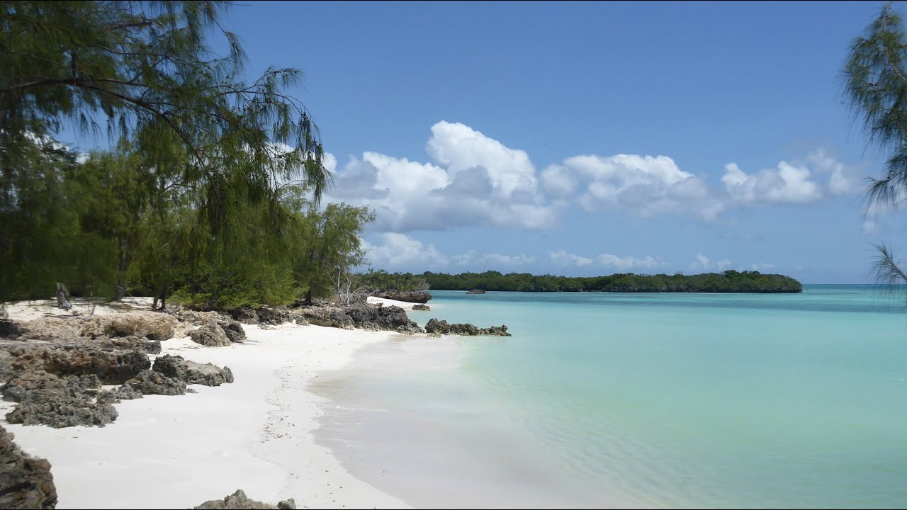 Aldabra Expedition 2019