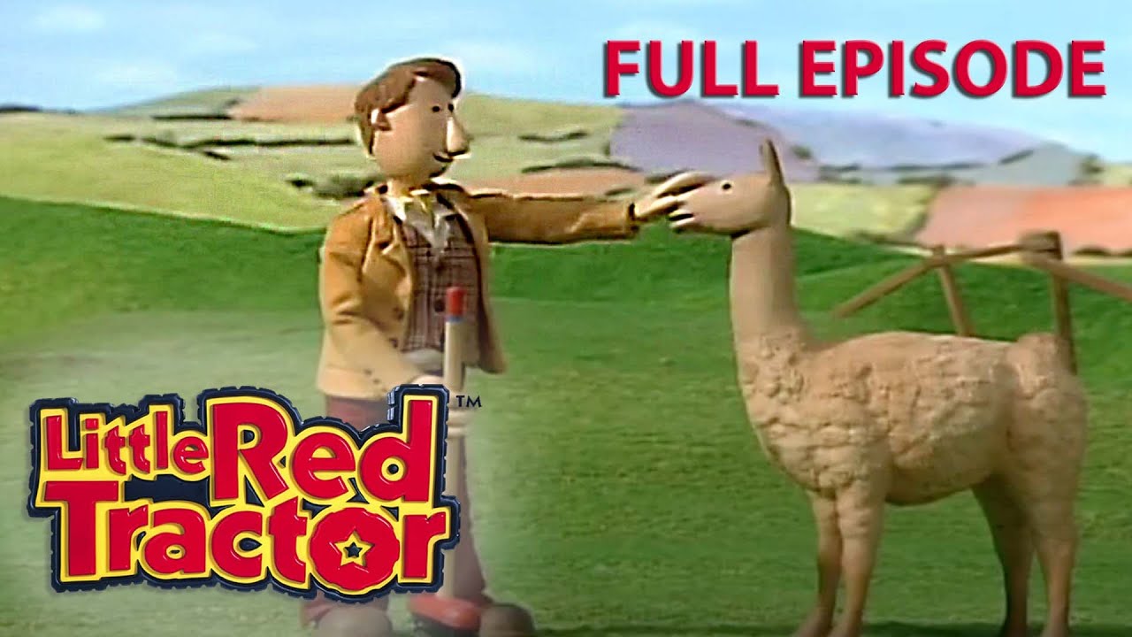 Making Llama friends | Little Red Tractor