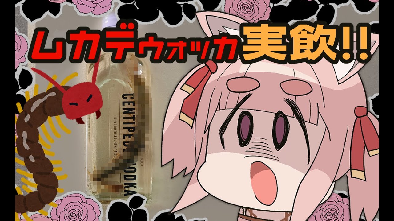 【飲酒雑談】ムカデの入ったお酒！？実飲レポ雑談！【新人VTuber】