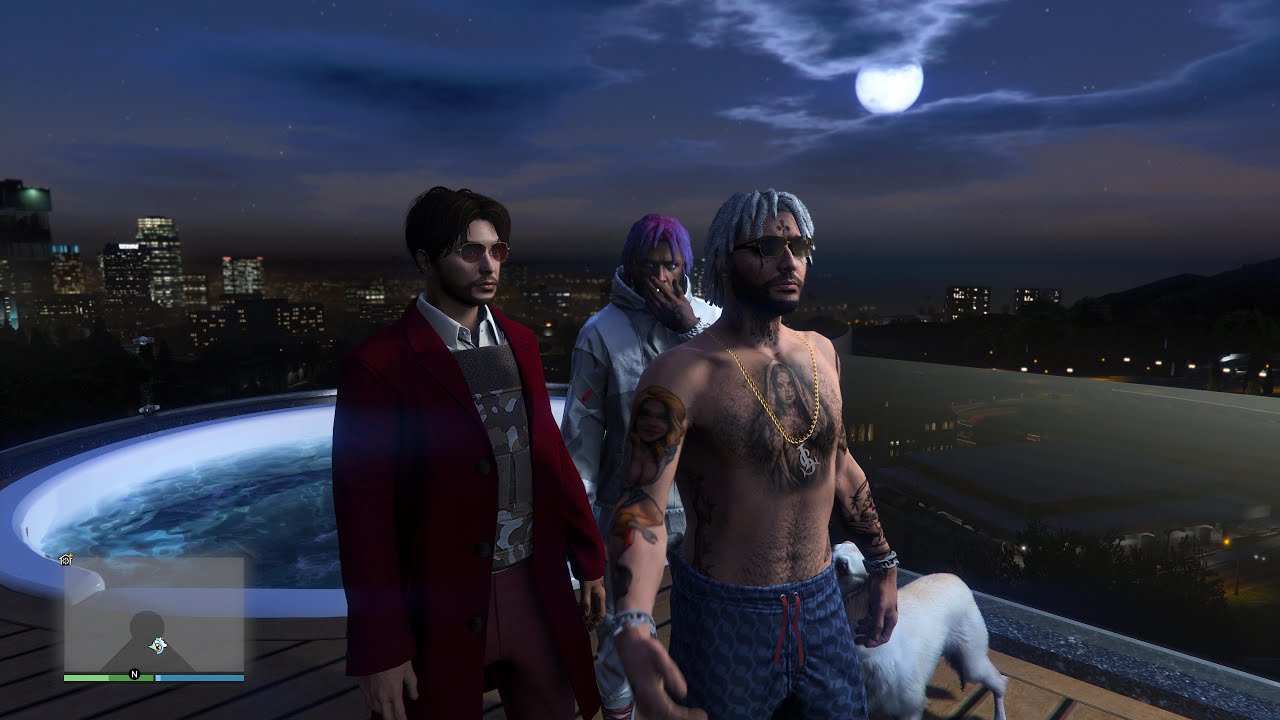 Idiots play GTA V
