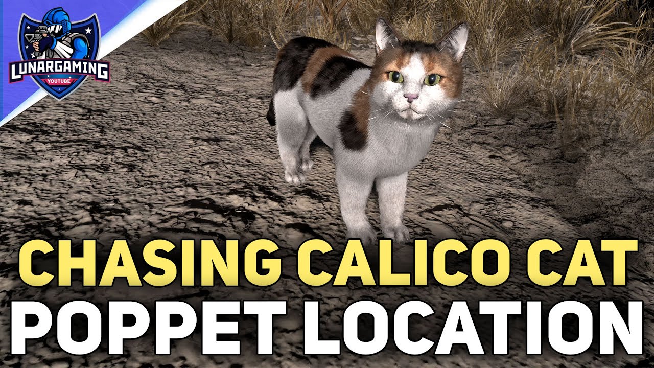 Chasing The Calico Cat Detour (Poppet Location 1) Forspoken