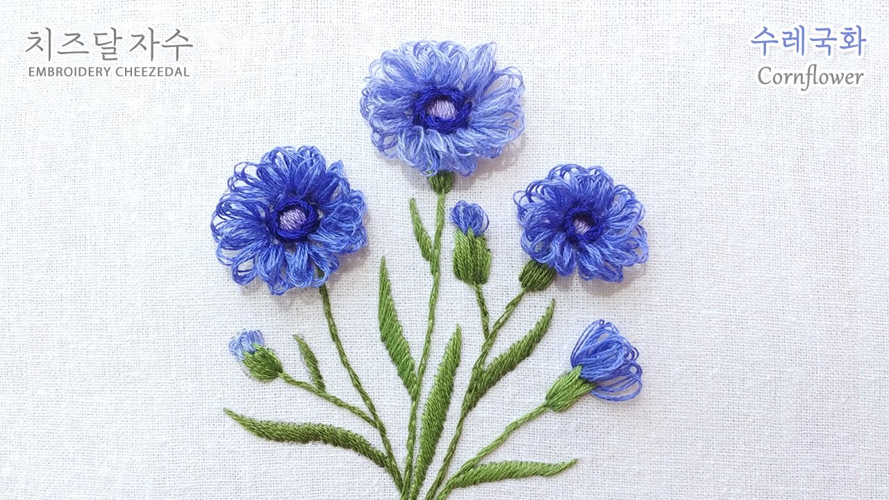 [CC] 수레국화, Cornflower