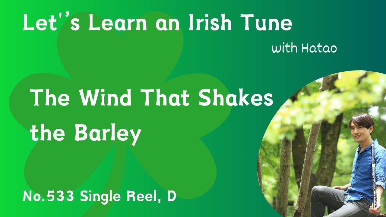 533 The Wind That Shakes the Barley (Single Reel, D)