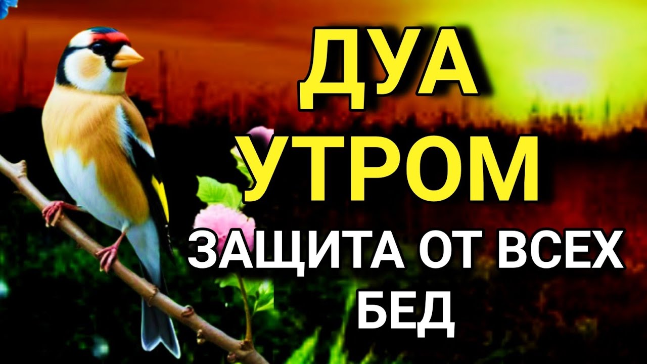 🔑🌟💖 СИЛЬНЕЙШЕЕ ДУА УТРОМ ОТ ВСЕХ БЕД  🔑✨💯
