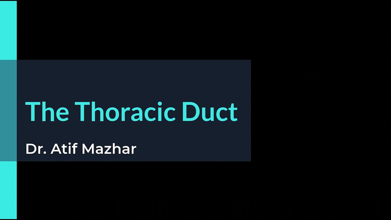 The Thoracic Duct