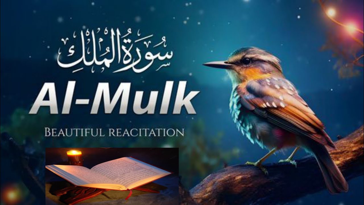 Surah Mulk سورۃ الملک Surah Mulk tilawat 
