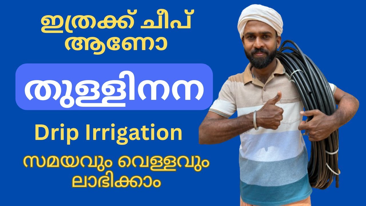 തുള്ളിനന | സമയവും വെള്ളവും ലാഭിക്കാം | Drip Irrigation | Simple 2024