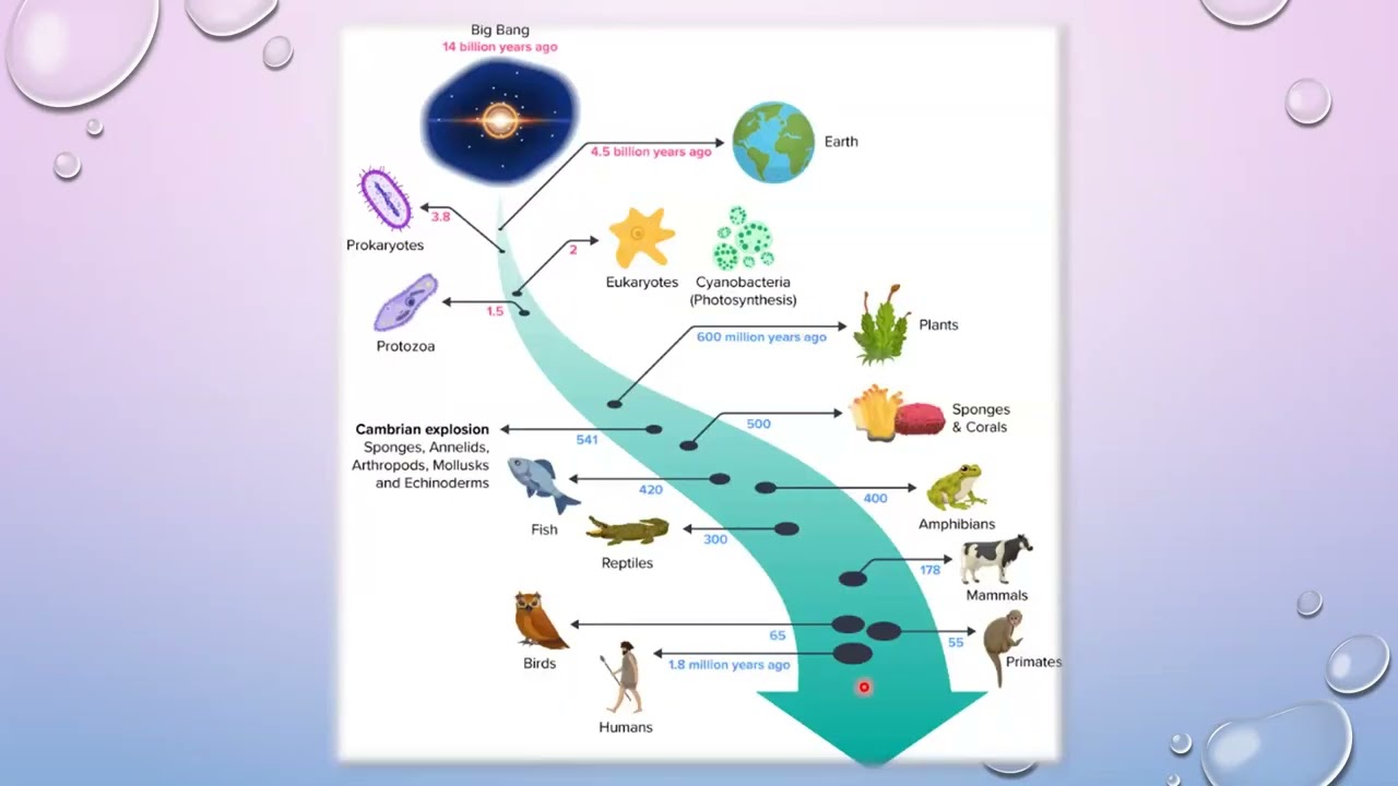 Application of Micro-algae - Dr. THU RA