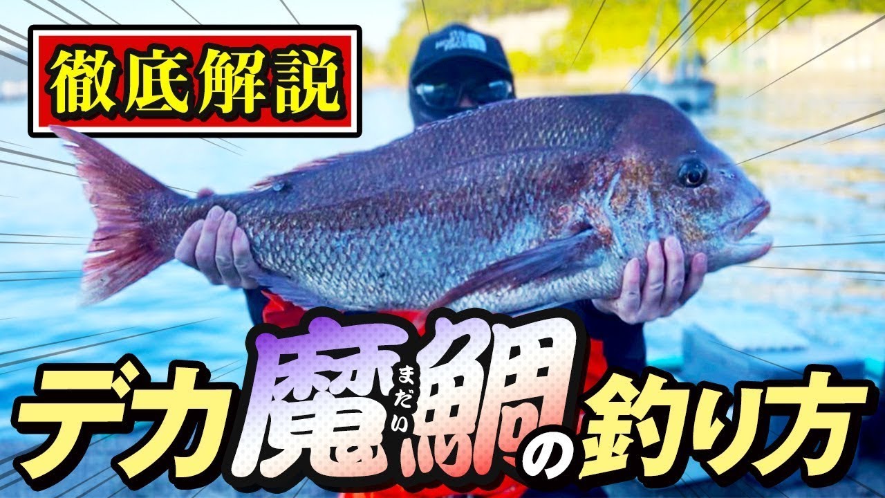 【丸高水産 ボート】仕掛けの投入からBIG真鯛を釣り上げるまで