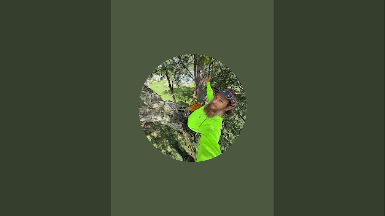 SLYKNOT  is live! Live cat rescue! Cat in tree! 😱🙀