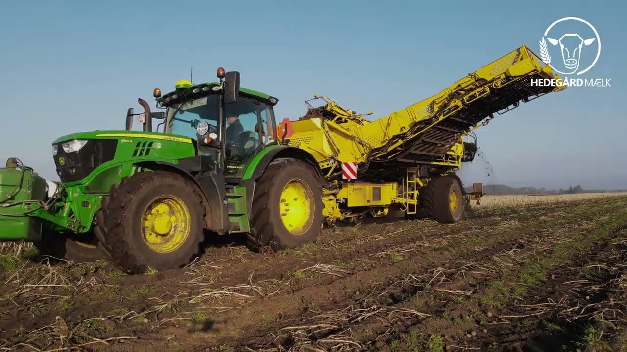 Potato Harvest 2024 Denmark, John Deere & Ropa Keiler