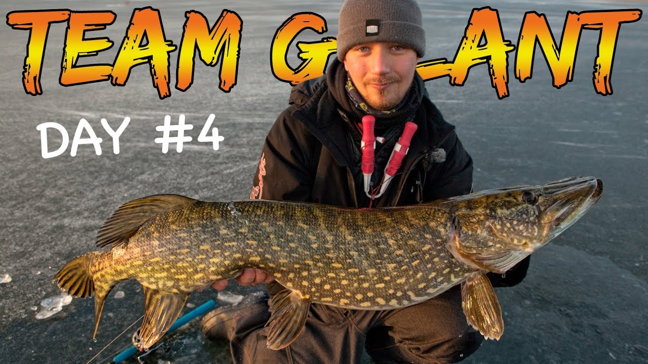 ICE FISHING PIKE 4 DAYS STRAIGHT (Going For Big Ones!) | Team Galant (SUBTITLES)