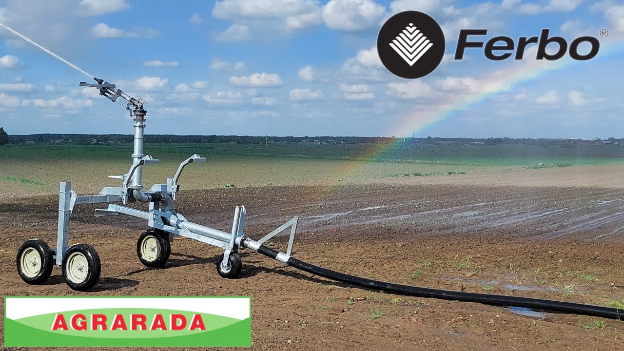 Podlewamy cebulę deszczownią FERBO GHC 110/750. We irrigate the onions. Agrarada