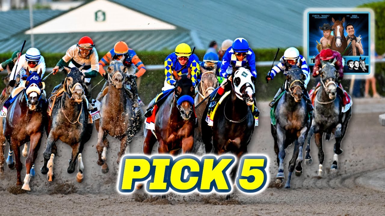 Gulfstream Park Preview & FREE Pegasus World Cup Pick 5 Bets | The Magic Mike Show 577