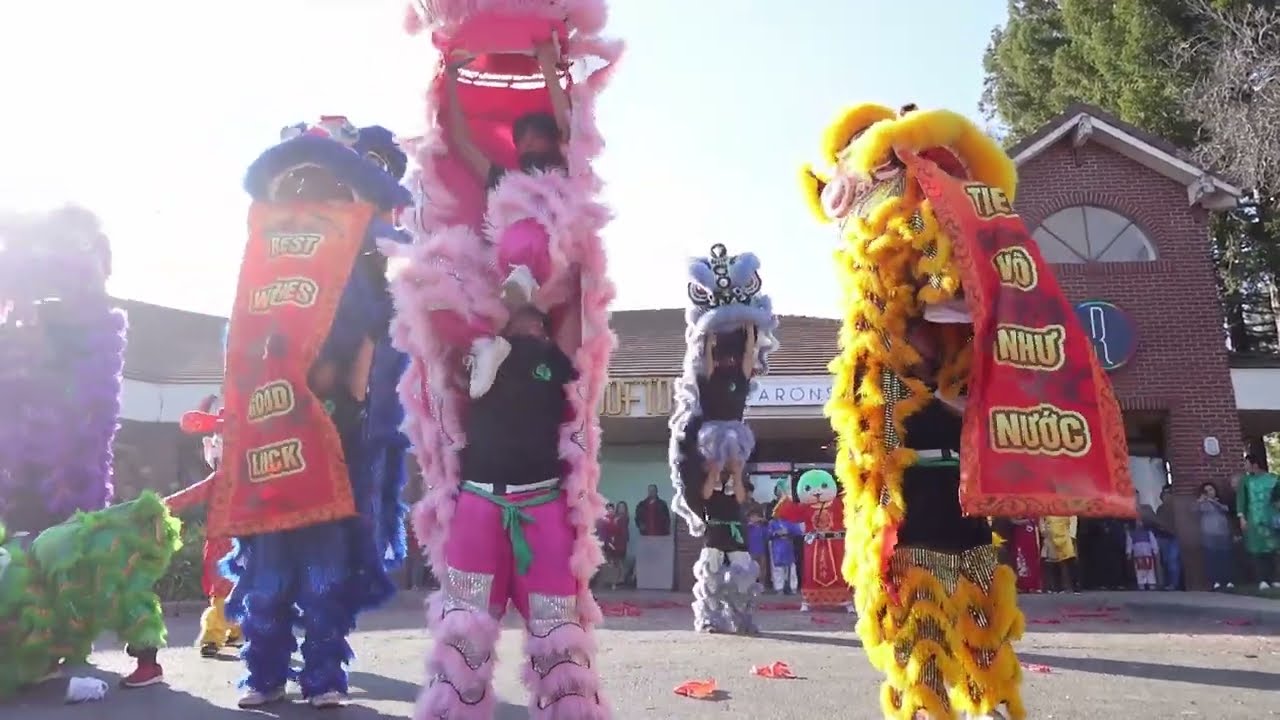 Kim Quang Lion Dance - Rooftop Macarons 2025