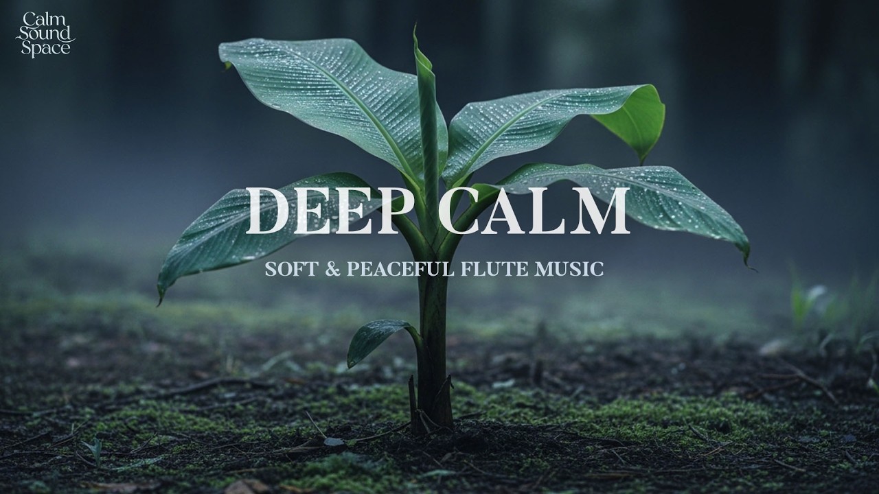 Comfortable and gentle flute sounds for stress relief 🎶 leading you to fast and peaceful sleep 😴🌙