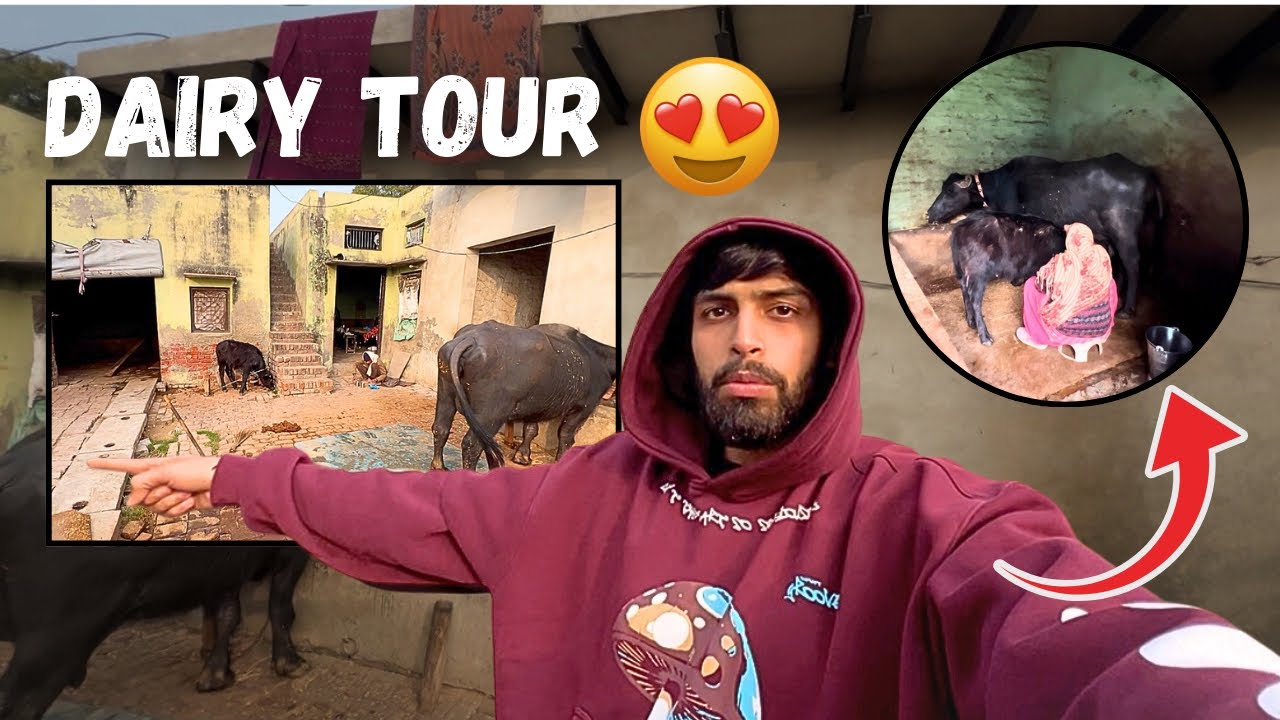 Full Dairy Tour😍 | Aisi hai hamari dairy | ROHIT SHOKEEN