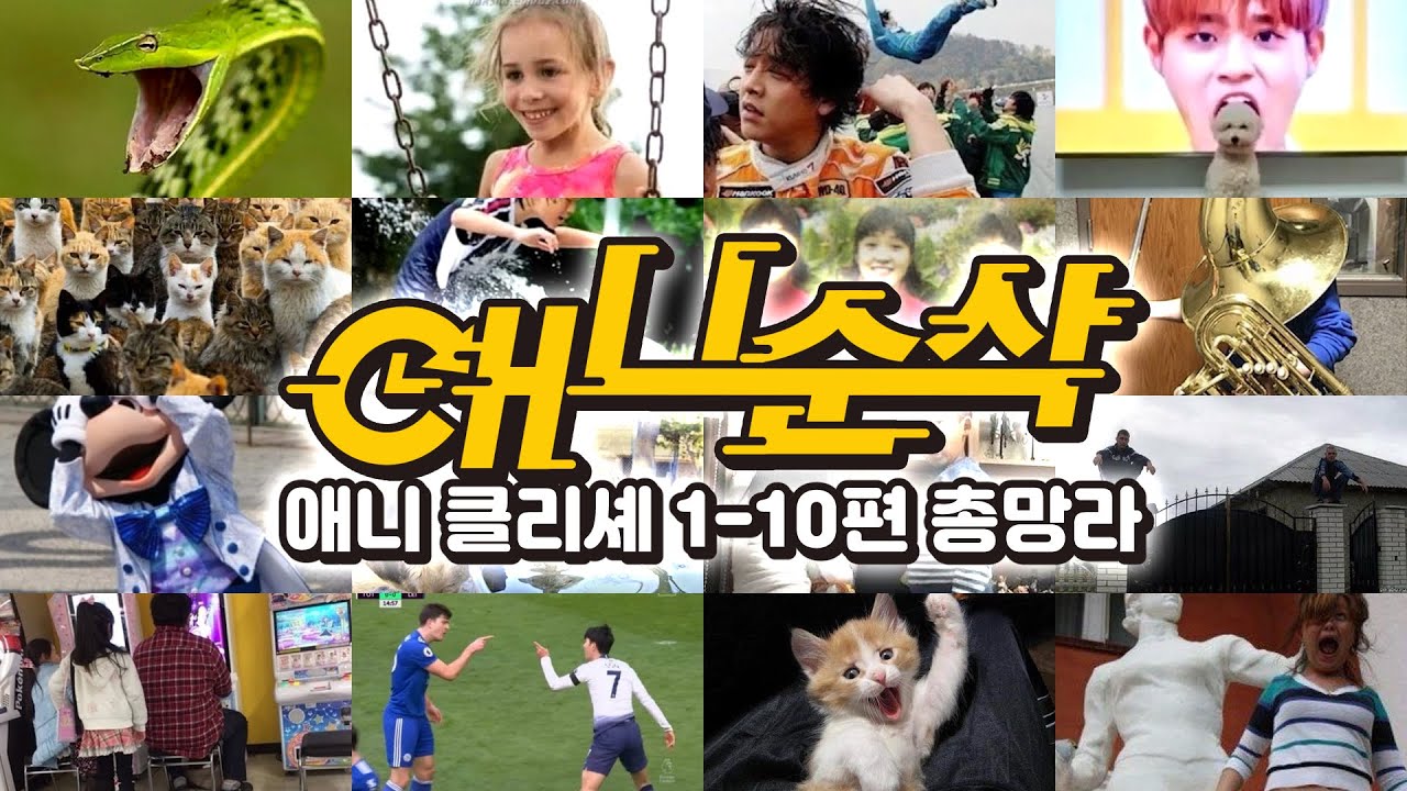 다 보면 애니 한 편 뚝딱ㅋㅋ 애니 클리셰 디럭스 모음!