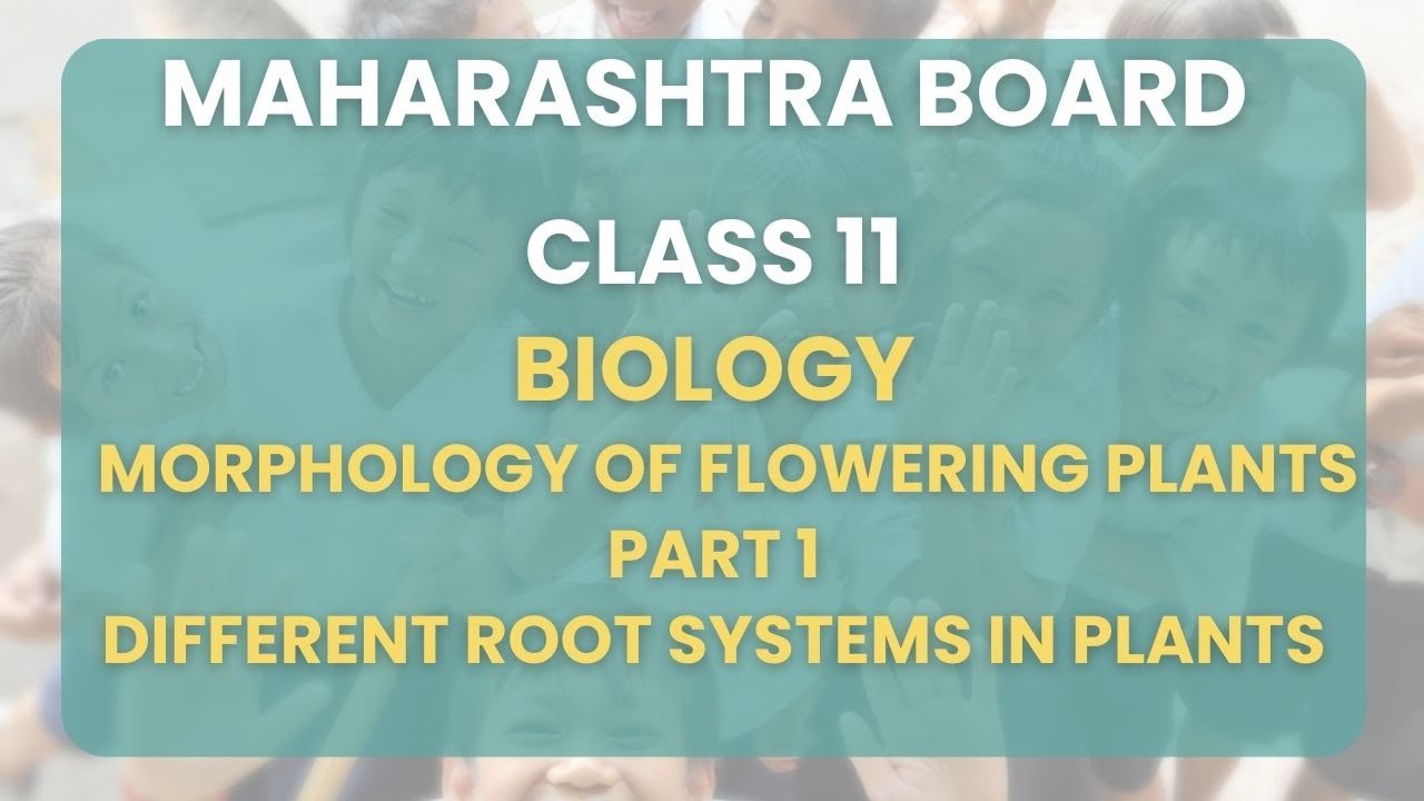 Class 11 | Biology - Morphology of flowering plants Part 1 : Different  root systems in plants