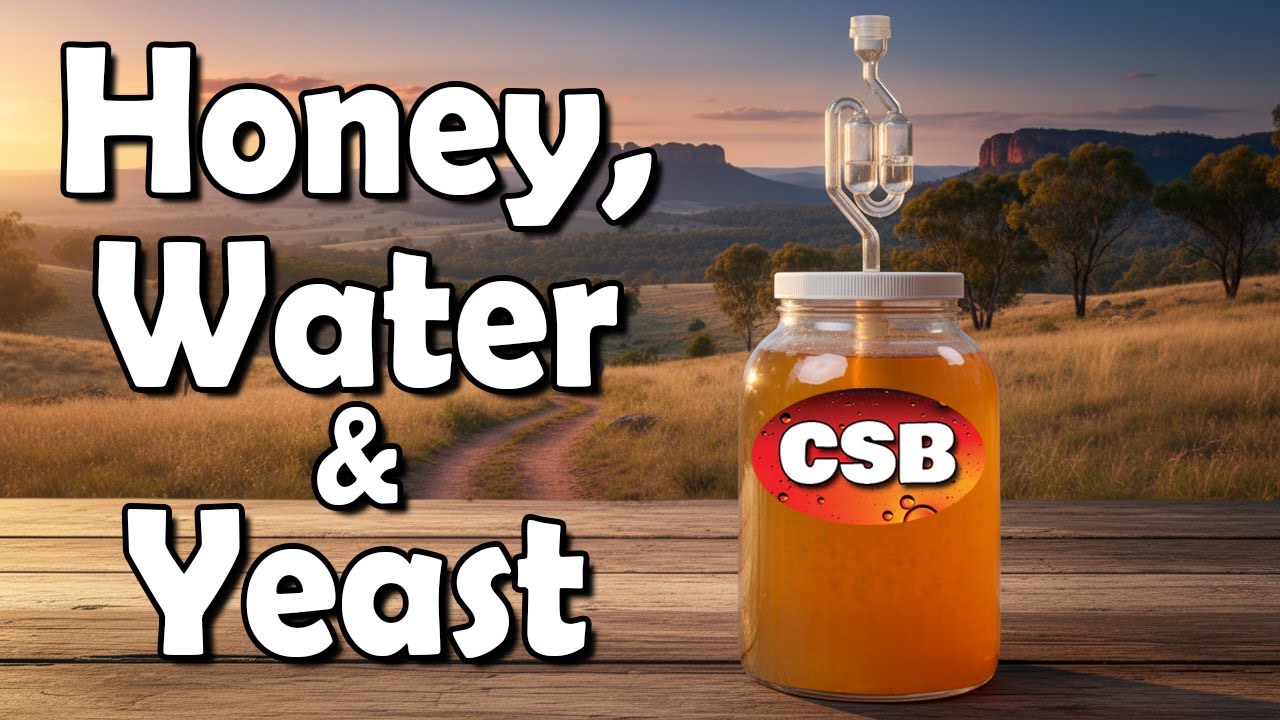 Easy Homemade Mead -Just 3 Ingredients! (Australian Mallee Honey Traditional Mead)