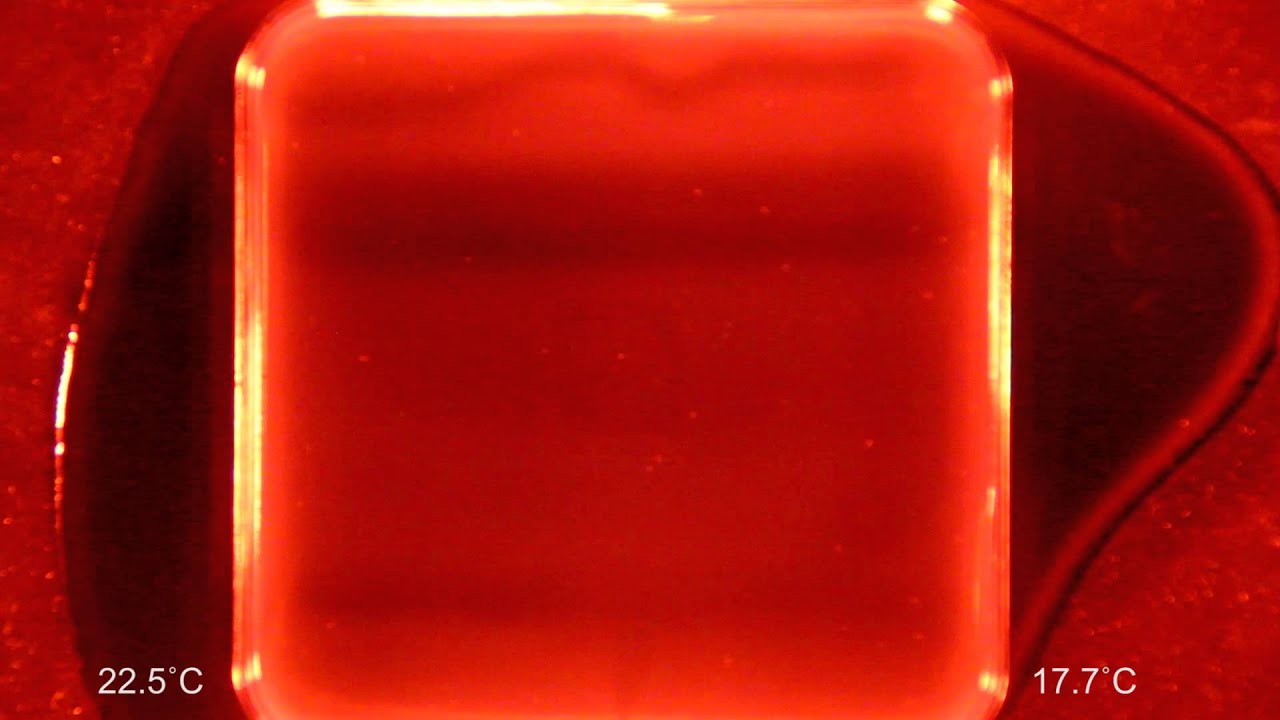 Thermotaxis May 25 5:30 to 5:40