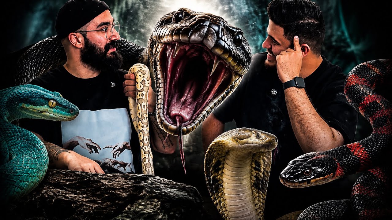 درآمد ۲ میلیاردی از پرورش مار تو یه اتاق ۳ متری 🤯 