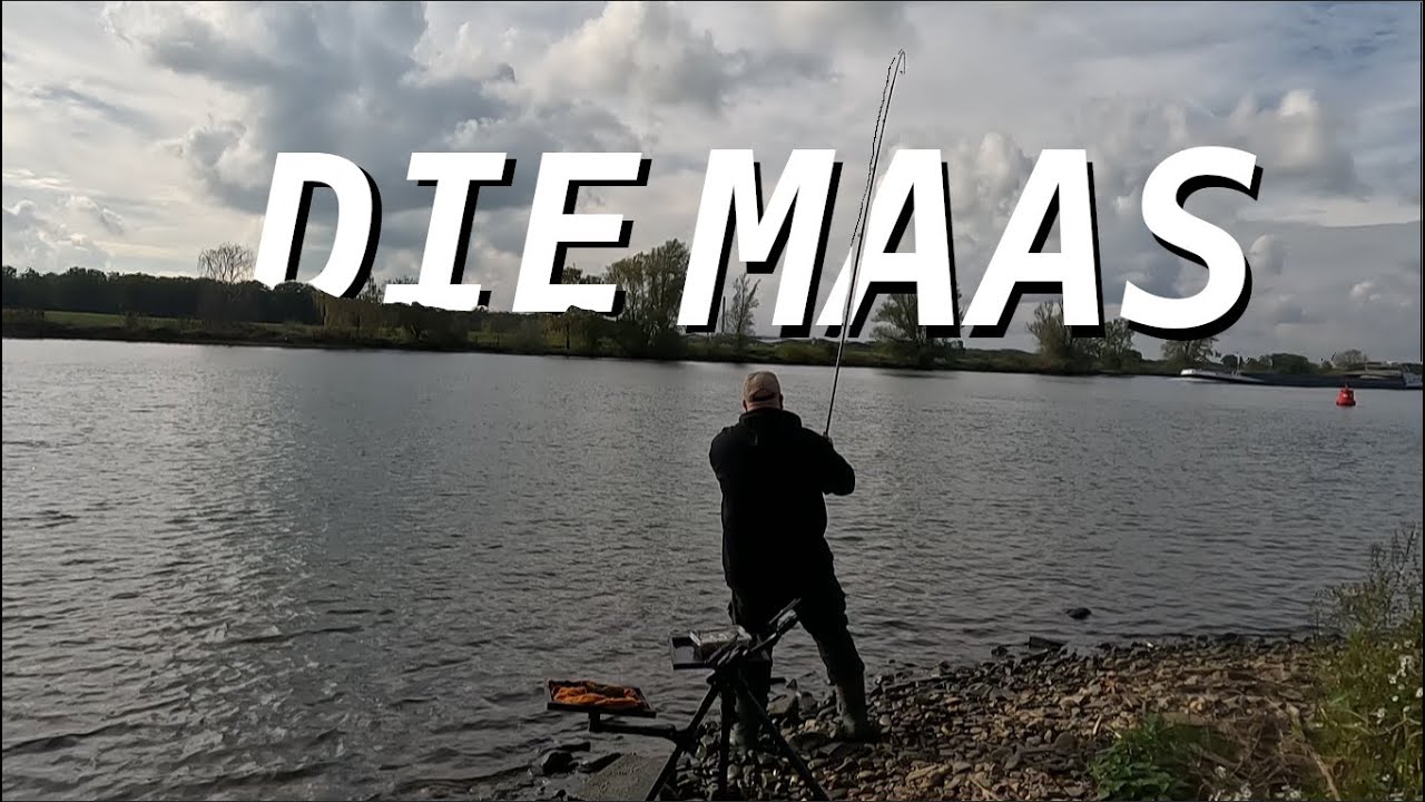 Zack Rute weg beim Raubfisch angeln auf Zander Hecht und Barsch