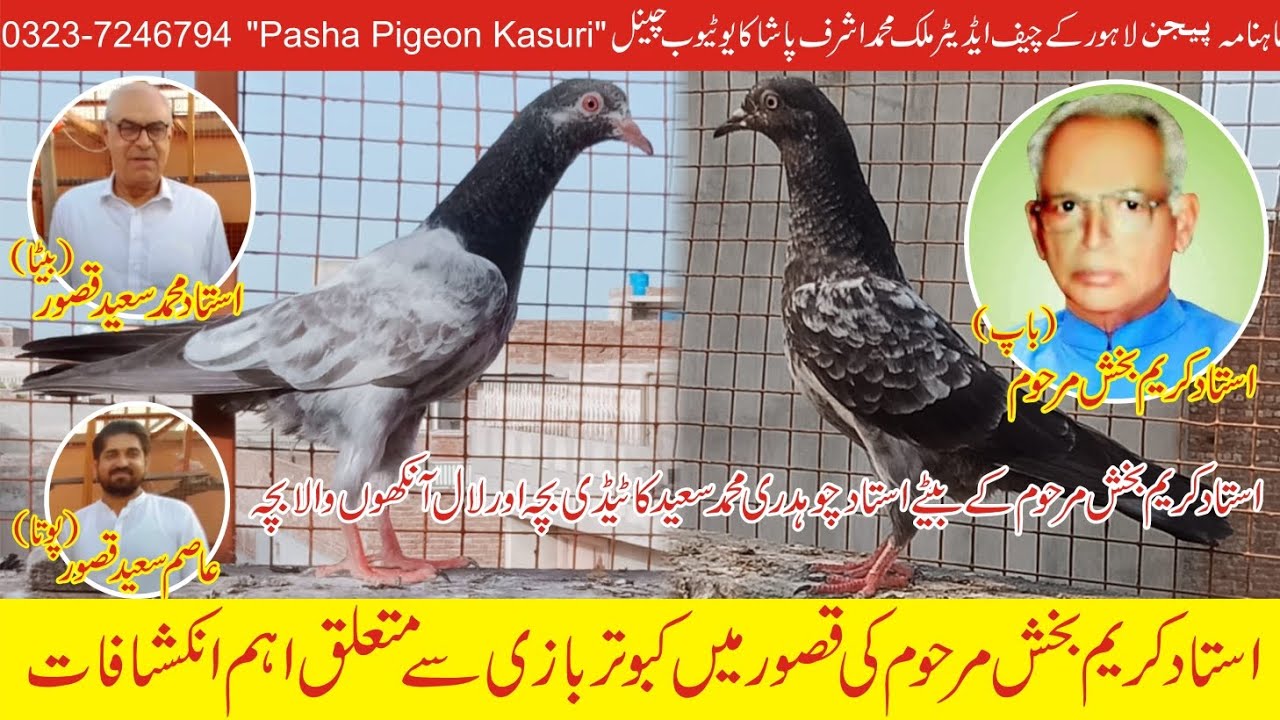 استاد کریم بخش مرحوم کی قصور میں کبوتر بازی سے متعلق اہم انکشافات
