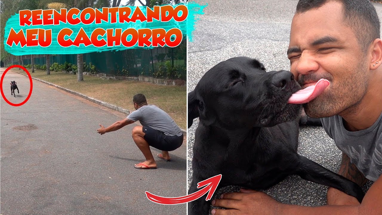 REENCONTRANDO MEU CACHORRO APÓS 2 ANOS - MILAGRE DE NATAL
