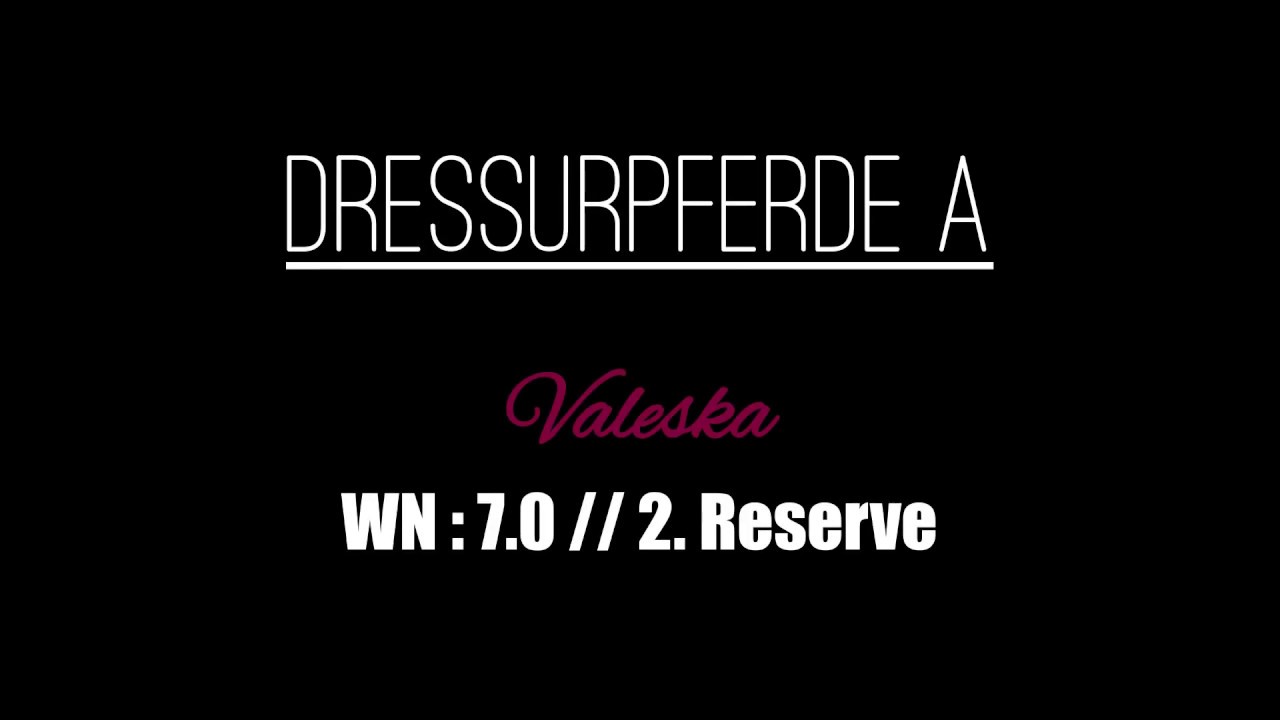 Dressurpferde A am Dressurstall Krüsterhof (DA 3) II Valeska