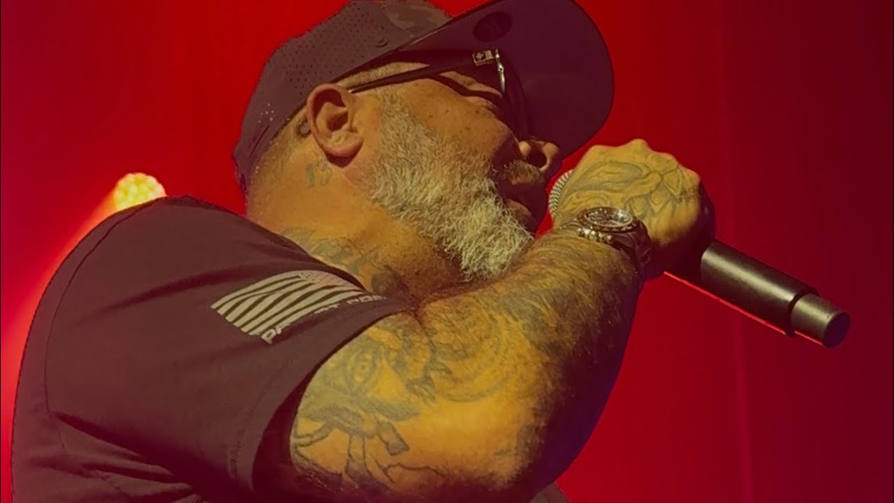 Staind Mudshovel Front Row Viewing 2025