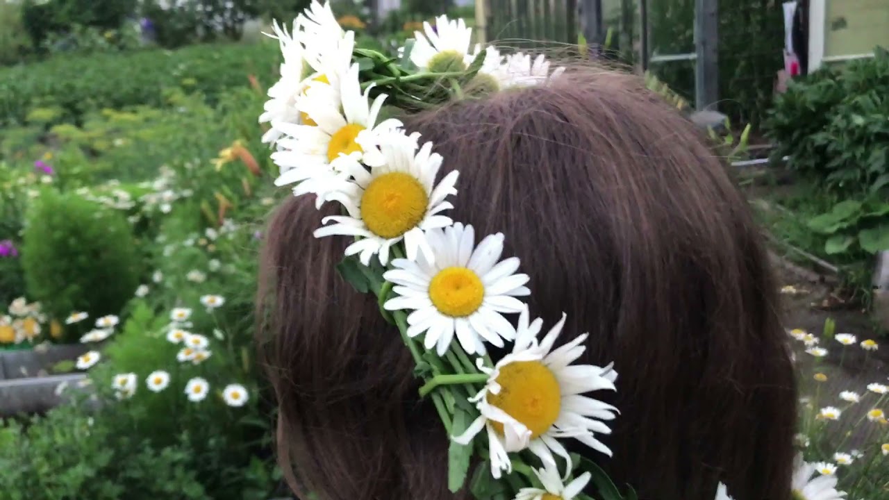 Как плести венок из ромашек и любых цветов.🌼На даче шикардос!ГРОЗА ⚡⛈ #венок