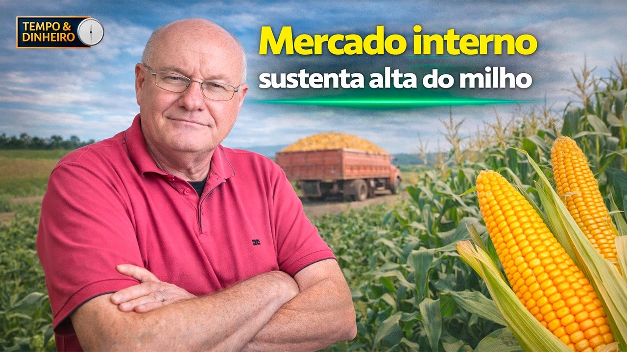 Milho ganha força com demanda interna em crescimento