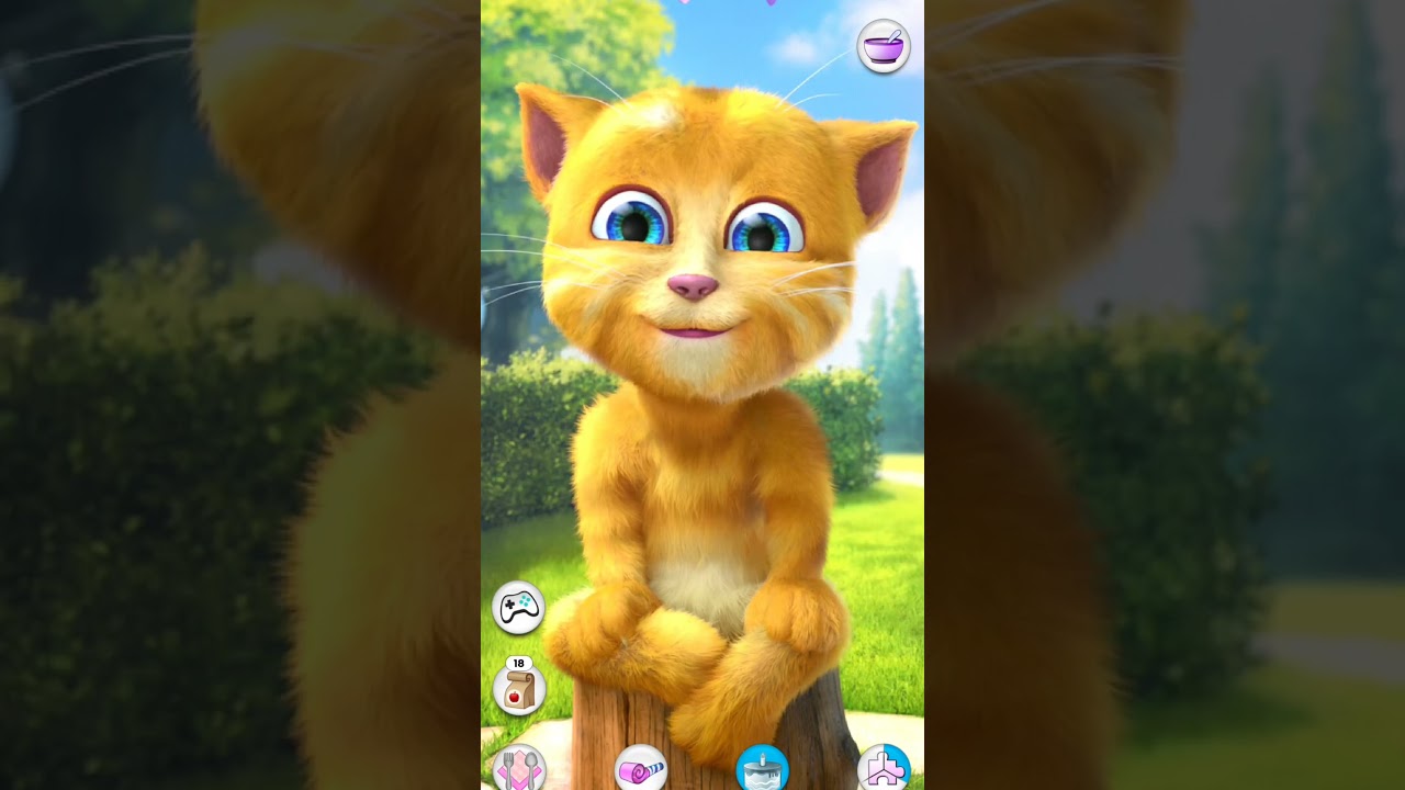 Talking Ginger funny video #short #vairal #funny